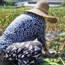 영복목장 이미지