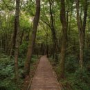 붉은오름자연휴양림2 이미지