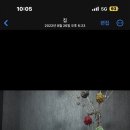 청아한에스떼