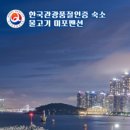 물고기 미포 네이버블로그