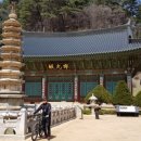 지은스마트숍