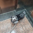 강동큰숲동물병원 이미지