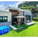 힐링위드독 이미지