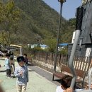 자라목공원 이미지