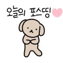 하이도아(Hi,doa)