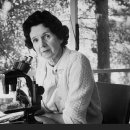 신이환경 이미지