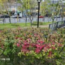 용천가로공원 이미지