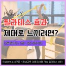 성원산전(주) | 중랑구 필라테스 와이 ｜필라테스 효과를 제대로 느끼려면?