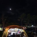 무녀도오토캠핑장 이미지