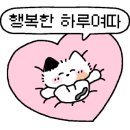빅터스버거 이미지