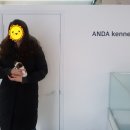안다켄넬반려견을품에안다