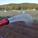 송이농장(2) 이미지