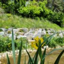 농촌테마공원1 이미지