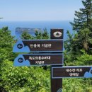 독도펜션 - 울릉군 도동1길 20 | 독도펜션