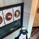 메종드한디자인협동조합 | 강남 그릭요거트 메종드그릭 논현점 나나가 매일 먹는 아사이볼 솔직 리뷰