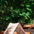 석식농장 이미지