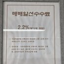 마스타카모터스 이미지