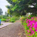 팜파스펜션 이미지