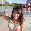 세륜 이미지