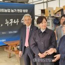 무릉도원면-25 이미지