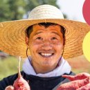 퍼피즈 네이버블로그