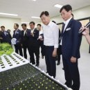 지상농장 이미지