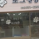 박선생 도그살롱 이미지