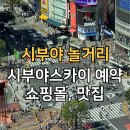 샘솟는 작은도서관 | 시부야 놀거리, 시부야 스카이 예약부터 쇼핑, 맛집까지 완벽 코스 추천