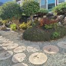 푸조와곰솔 | 주말 거제 나들이! 거제도펜션 푸조와곰솔 펜션 후기!