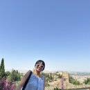 궁전 | 스페인여행 그라나다 여행 알함브라 궁전 관람 후기