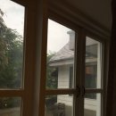 파인트리비 이미지