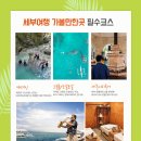 로컬페이지 네이버블로그