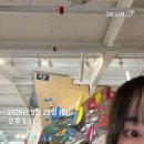 2026년 5월