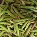 신선마트 이미지