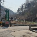 휴양림길 이미지