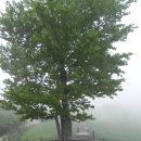 원형목장 이미지