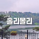 지엔제이청원태양광발전소 | 청주 북카페 홀리몰리 새로워진 뷰카페