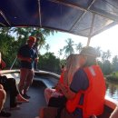 반딧불 프리미엄 이미지