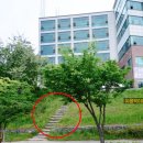 주가네짜장 | 원주 봉화산 등산 시간 코스, 멧돼지주의, 근처맛집까지 총정리
