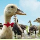 향미마을 이미지