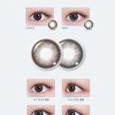 다비치안경(사창사거리점) 이미지