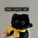 네로는 검은고양이 | [⚾️네로 키링] LG TWINS X 블루밍테일 콜라보 구매 후기