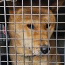 용호초교 이미지