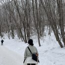 유일사 입구 | 태백산 등산코스 유일사 눈꽃산행 시간 겨울산 준비물