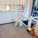 넘버원 펫살롱 이미지