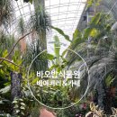 바오밥 | 매송 바오밥식물원 카페 후기! 음료·빵 사면 입장료 무료