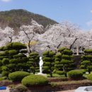 내산초등학교 이미지