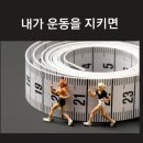 바디앤점핑다이어트