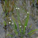 곡정초등학교 이미지