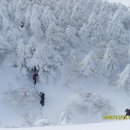 1/17~18(1박2일) 남한 최고봉 한라산 폭설산행+제주도 관광 안내 공지 이미지